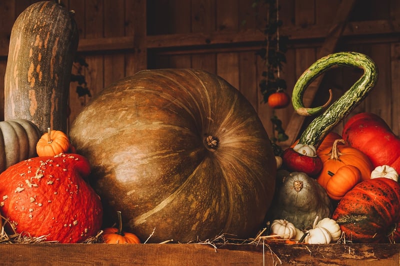Farm-to-Table Harvest